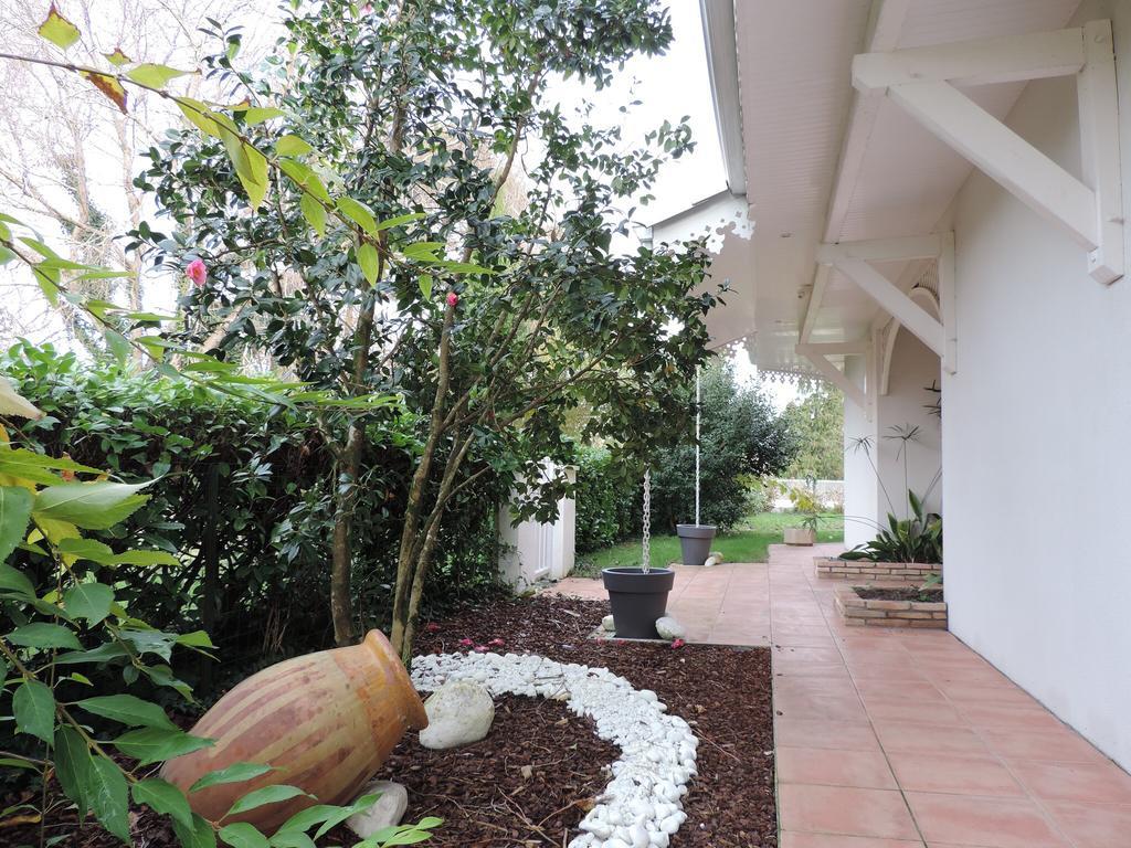 Chambres D'Hotes Villa La Louisiane Арес Екстер'єр фото